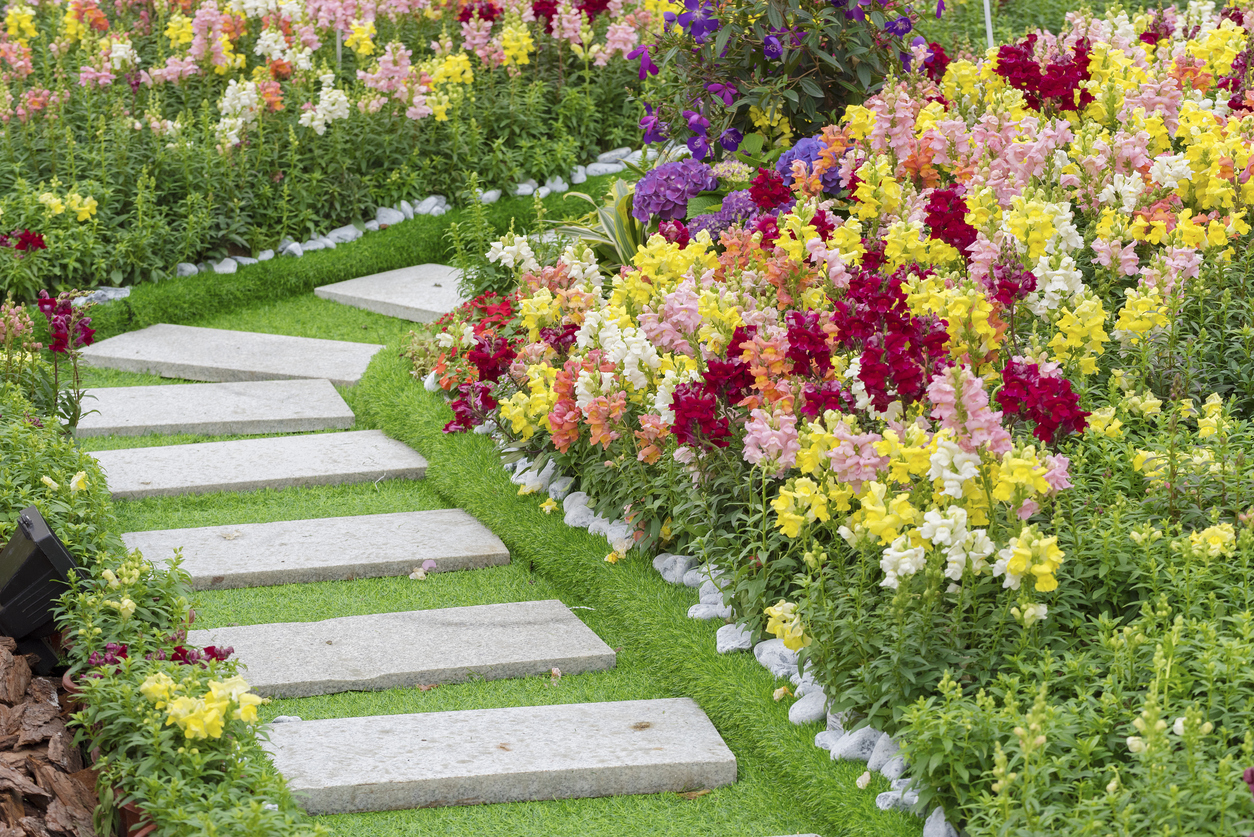 Path in garden