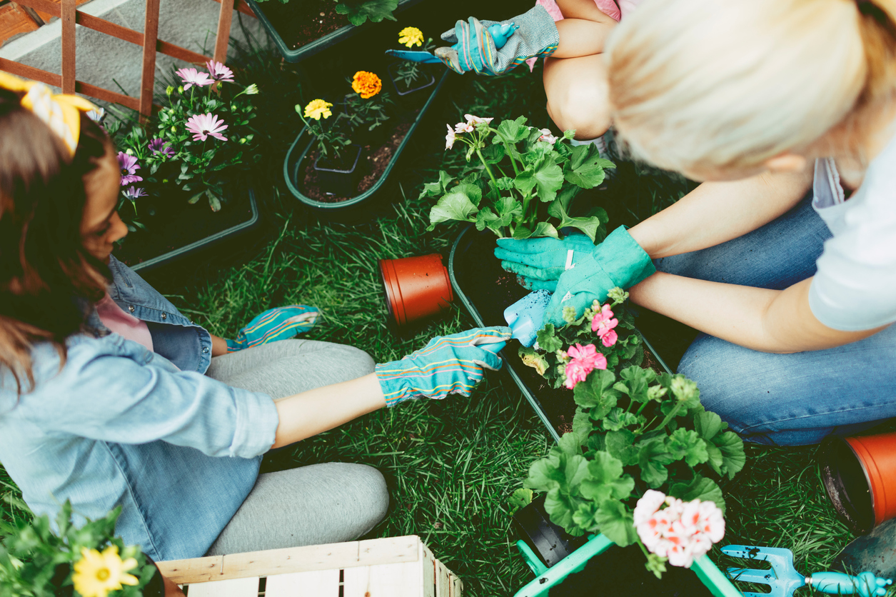 Mother And Daughter Planting Flowers Together.